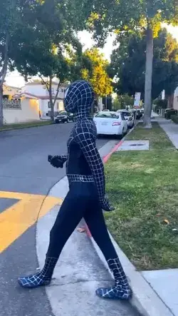 Spiderman Real Life