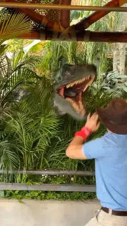 Raptor Encounter at Islands of Adventure 