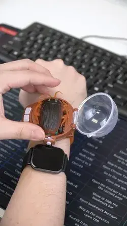 RC Cockroach Watch