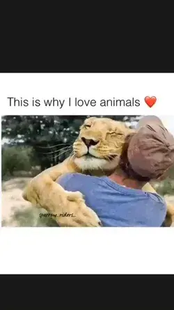 animal lovers 🐶