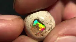 GEM Matrix - Mexican 12.8ct Crystal Opal (OM)