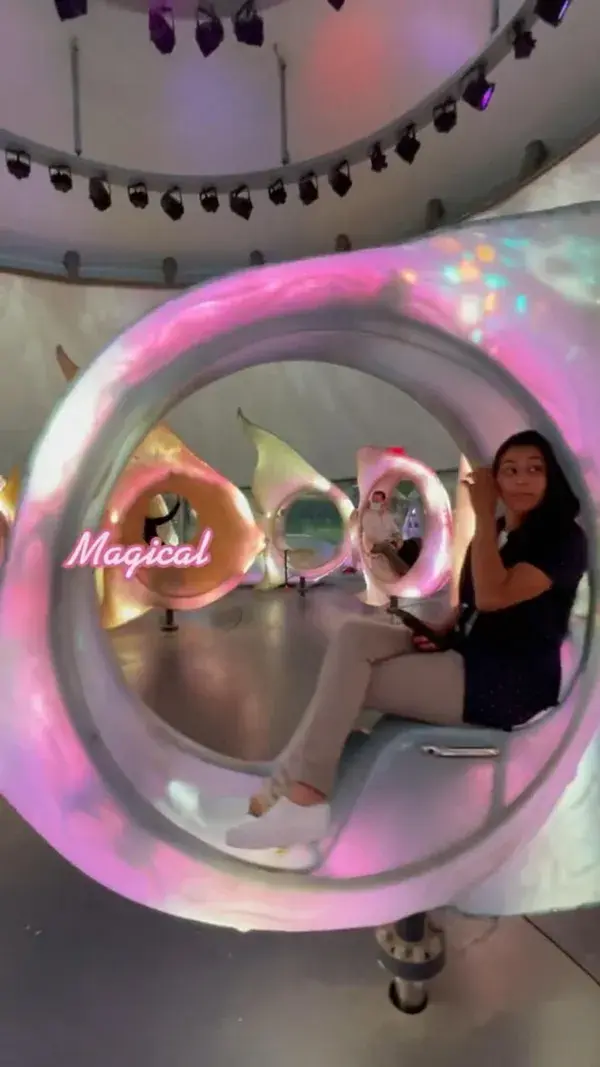 Seaglass Carousel Credit @emkfunandeats via tiktok