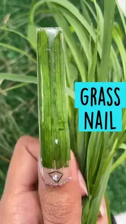 Nail Extension with GRASS