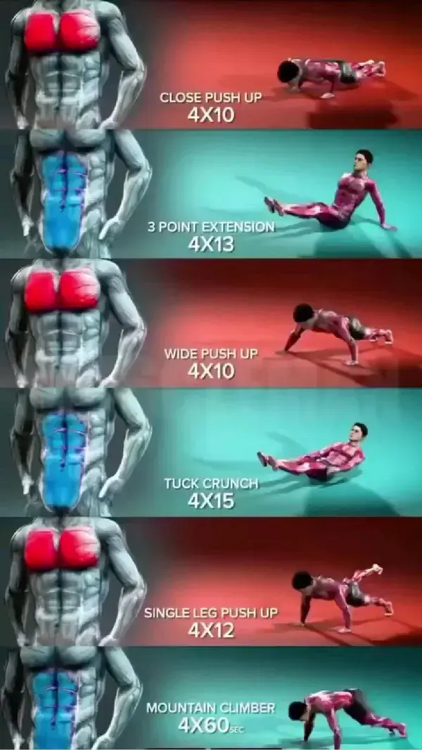 whole body workout