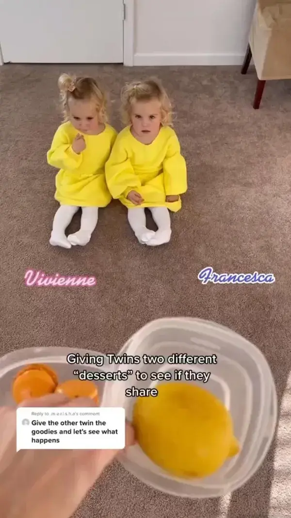 Twins sharing desserts. Tiktok trend