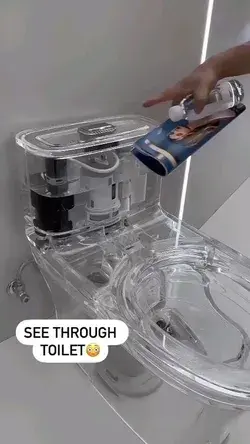 See through toilet