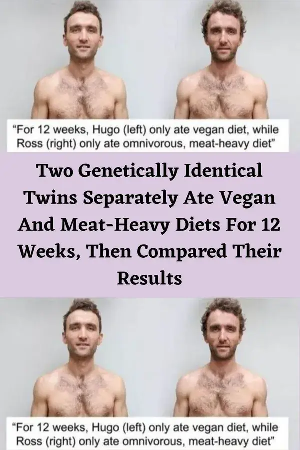 Two Genetically Identical Twins Separately Ate Vegan And Meat-Heavy Diets For 12 Weeks, Then Compar