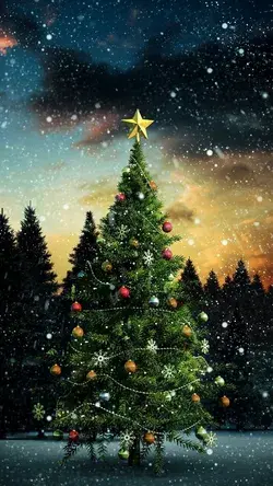 merry christmas | merry christmas images |  merry christmas quotes |merry christmas wishes