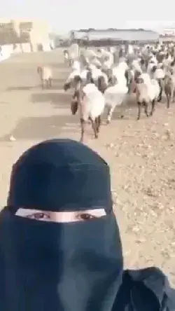 Arabian girl sings ft. goats😍😂| "oh my goats -me me "....💓