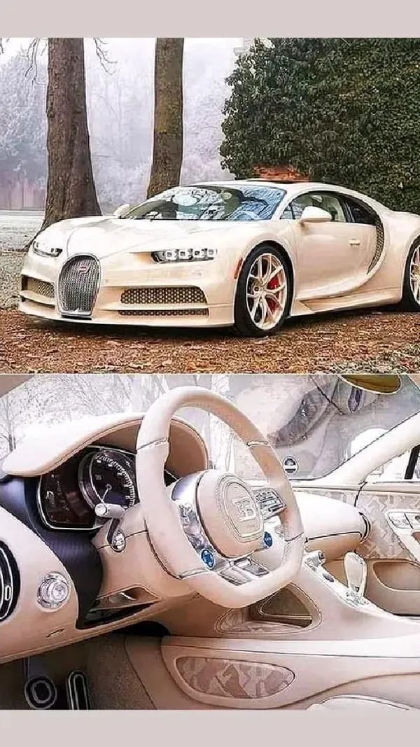 Bugatti Chiron.📷 credit to owner