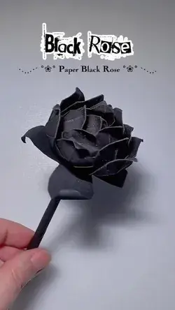Black Paper Rose