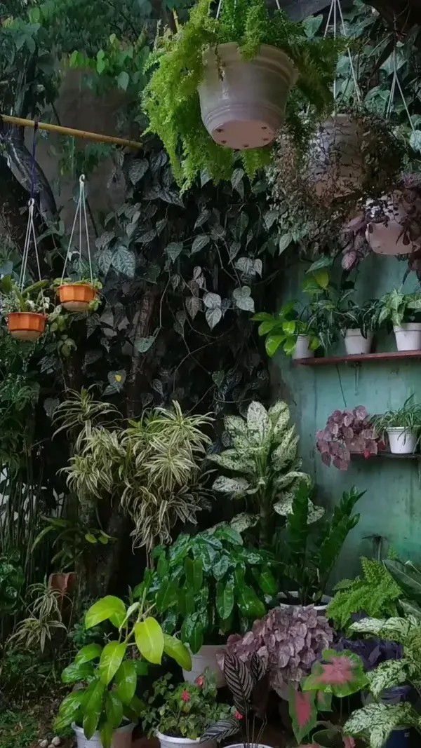 indoor gardening