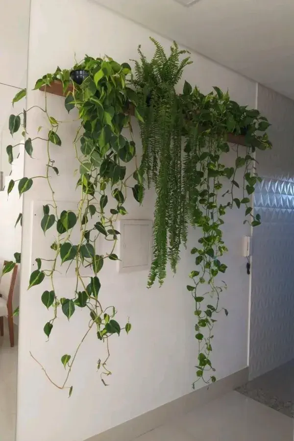 Indoor plant styling