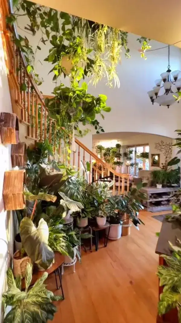 I love plants!! 🥰 Video:@joy.of.plants on Tiktok