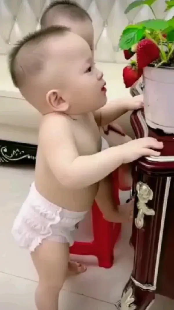 Cute Baby #cute#subscribe#shortsfeed#viral