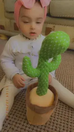 talking cactus toy