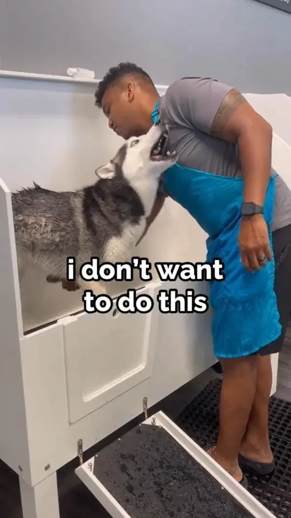 I dont want to be clean. husky talking