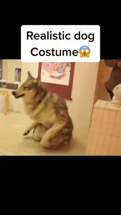 Realist dog costume!!!