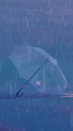Raini Umbrella