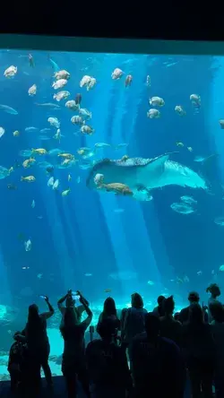 Georgia Aquarium ✨