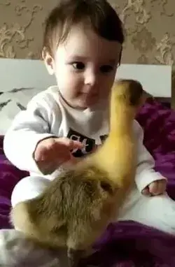 Most Adorable Baby and smile with duckling