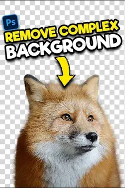 Best way to remove complex background in photoshop