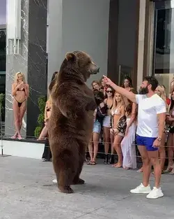 Gotta feed your girl🐻 Would you dare?👇