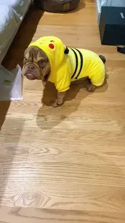 I put on Picachu clothes, do you think I am a little cute?