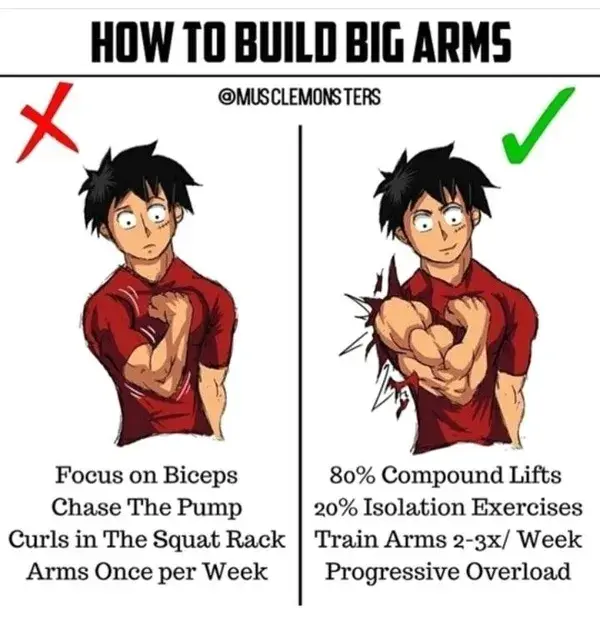 How to build big arms 💪💯