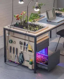 Desk-Planter-Lamp by Studio Sybrandy⠀