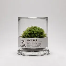 MOSSER scientific glass moss terrarium and spray by themosserstore