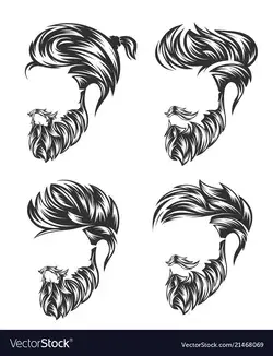 Mens hairstyle set and hirecut with beard mustache