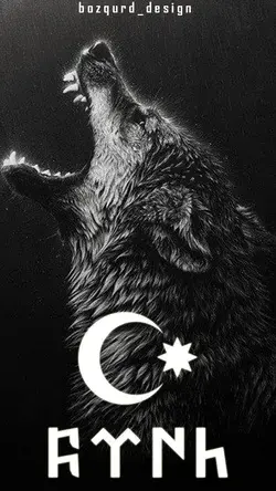 Pin by 𝖎𝖑𝖖𝖆𝖗 𝖇𝖆𝖐𝖎𝖓𝖘𝖐𝖎y ? on VƏTƏNIM. | Indie drawings, Dream catcher art, Wolf pictures
