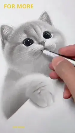 Cat Hand Drawing | Cat Drawing Wallpaper | Cute Cat Drawing | Cat Face Drawing | Cat Coloring Book