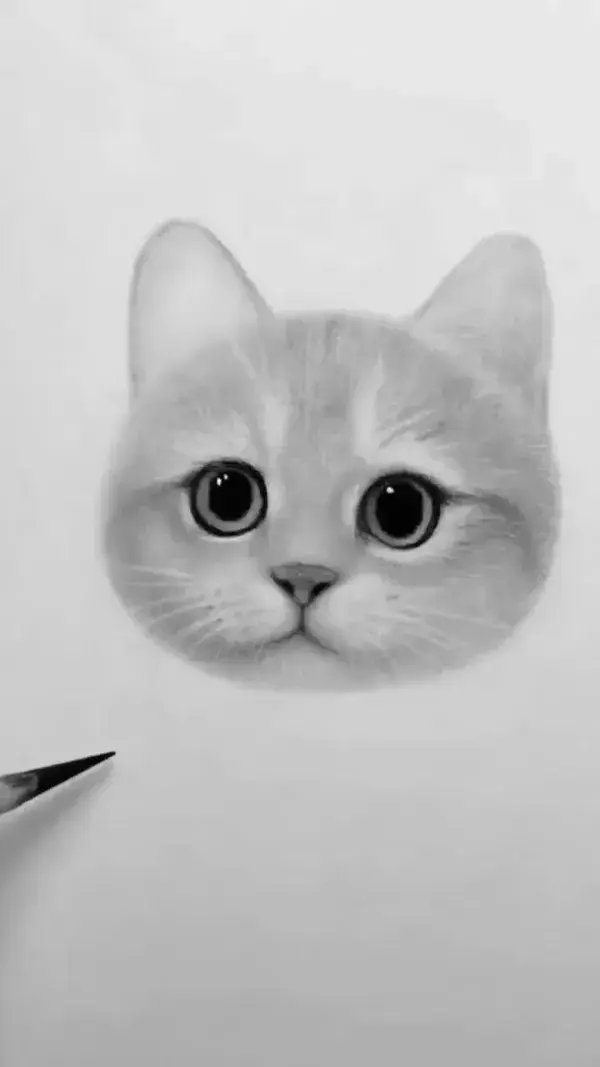 Cat Hand Drawing | Cat Drawing Wallpaper | Cute Cat Drawing | Cat Face Drawing | Cat Coloring Book