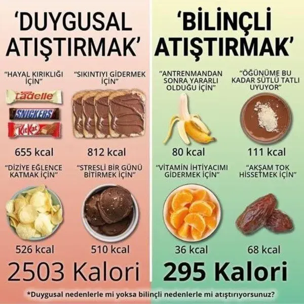 Atıştırmak