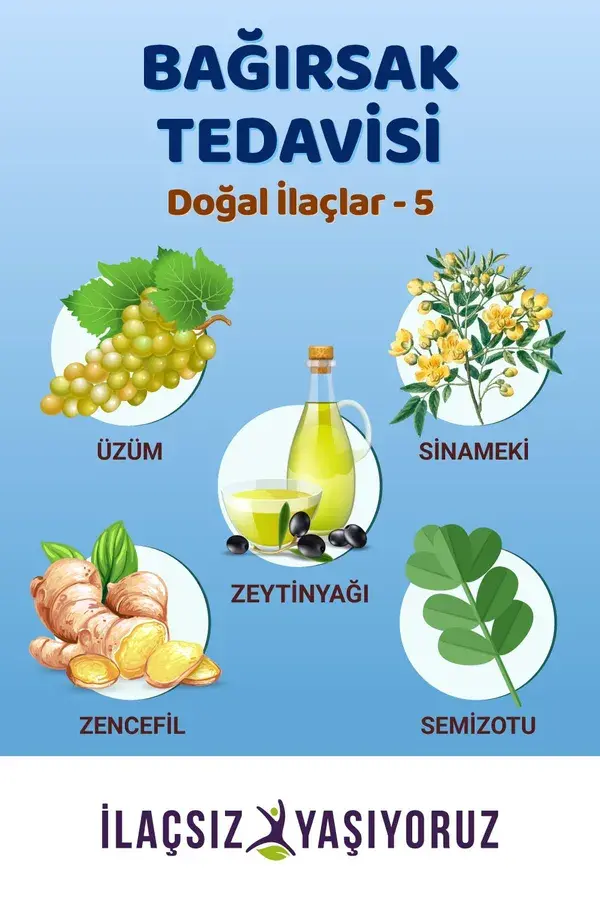 Bağırsak Tedavisi Doğal İlaçlar - 5