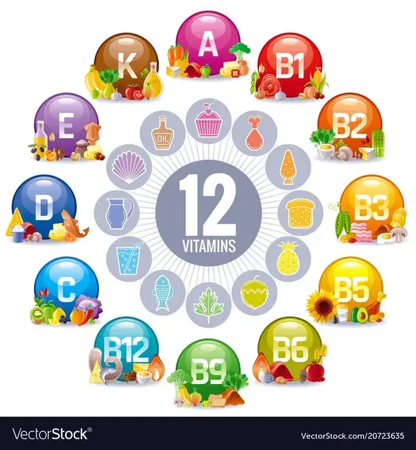 Mineral vitamin multi supplement icons Royalty Free Vector