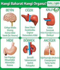 Mutlu ve Sağlıklı