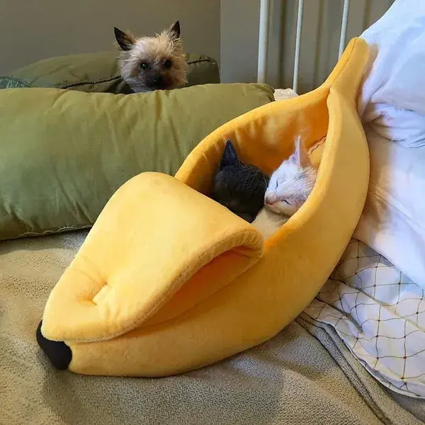 Pet Banana Bed - S