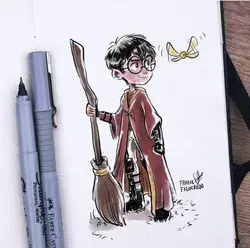 Harry Potter - gryffindor seeker