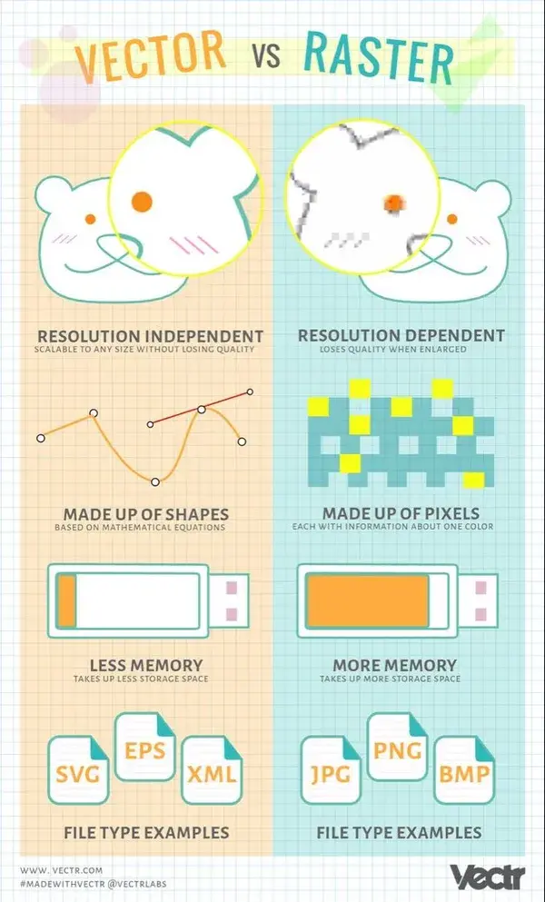 Vector VS Raster