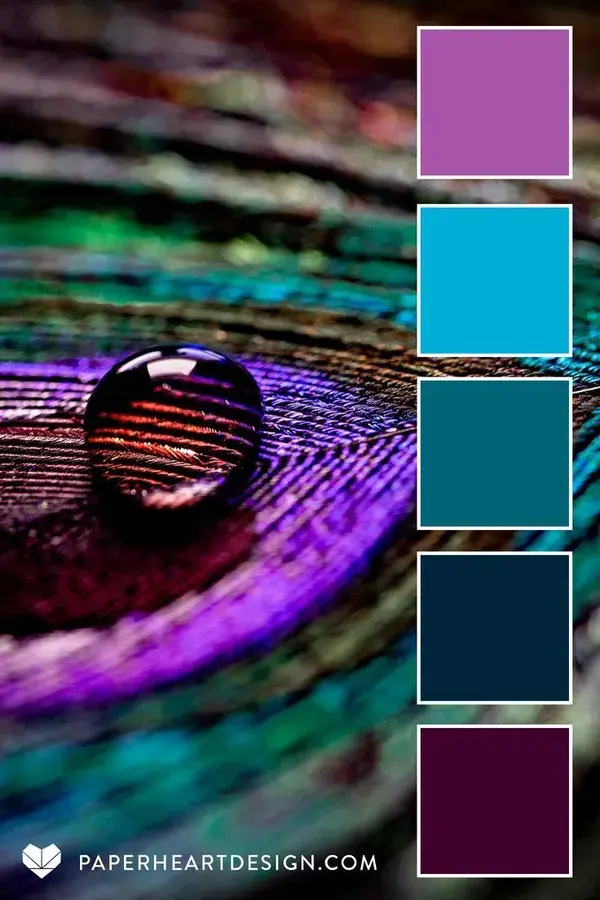 Peacock Feather Color Palette