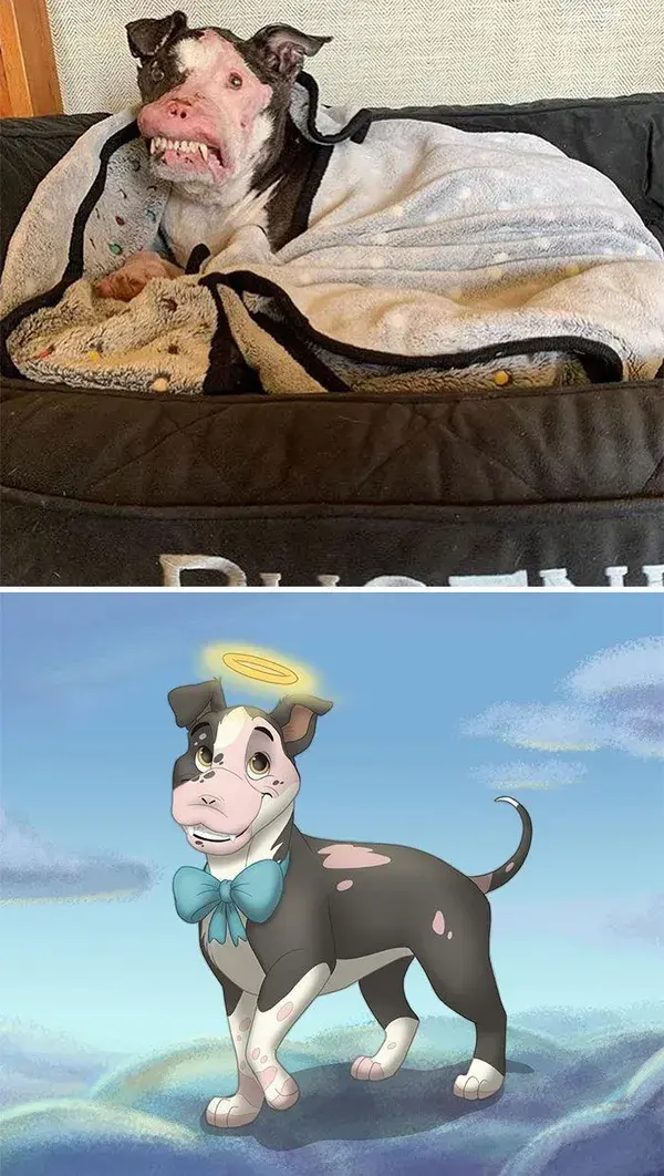 People Send Pics Of Their Pets To This Artist And She Disneyfies Them