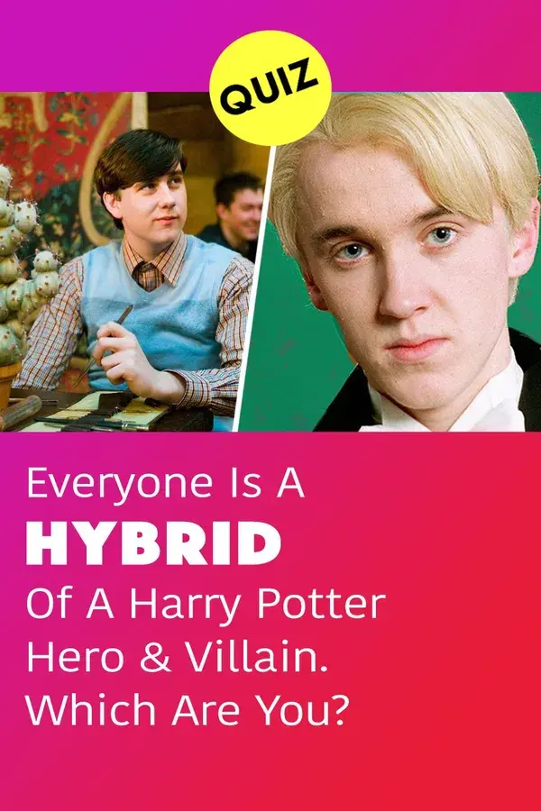 Everyone Is A Hybrid Of A Harry Potter Hero & Villain. Which Are You?