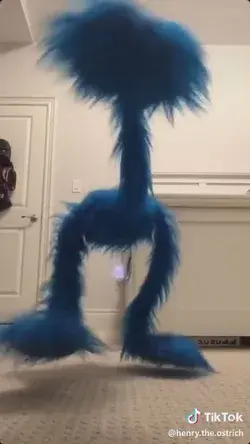 Henry(@henry.the.ostrich) | TikTok