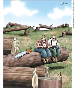 TheFarSide.com