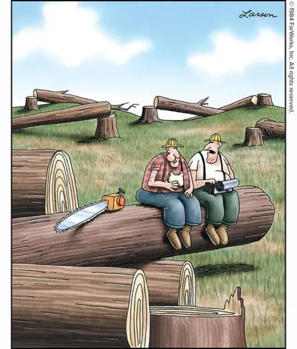 TheFarSide.com