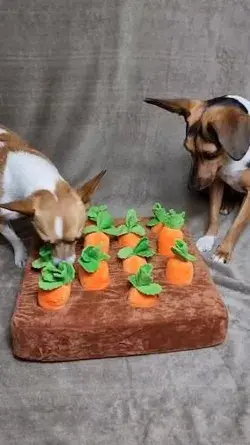 Fun Carrot Crop Interactive Dog Toy