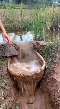 Amazing Fish trap 🐟🐠👍